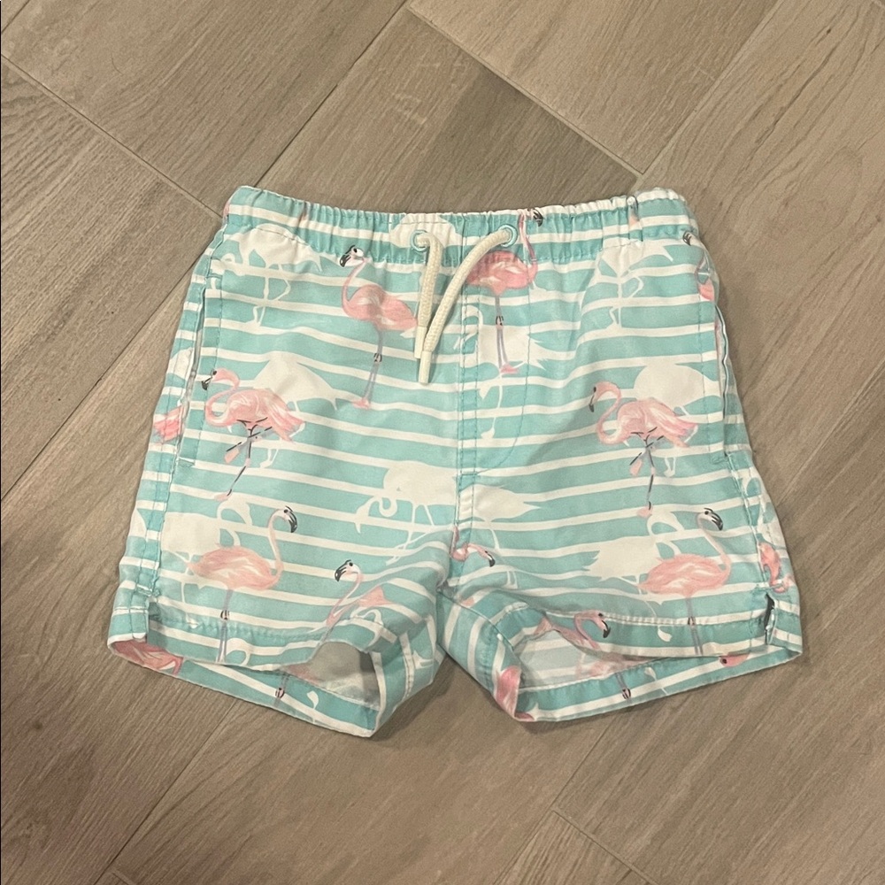Ingear Swim Boys Teal and Pink Swim Trunks Size: 3T